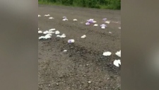 diapers