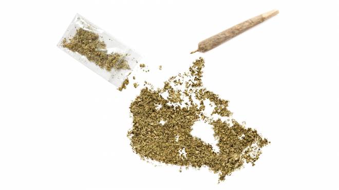 canada pot_0