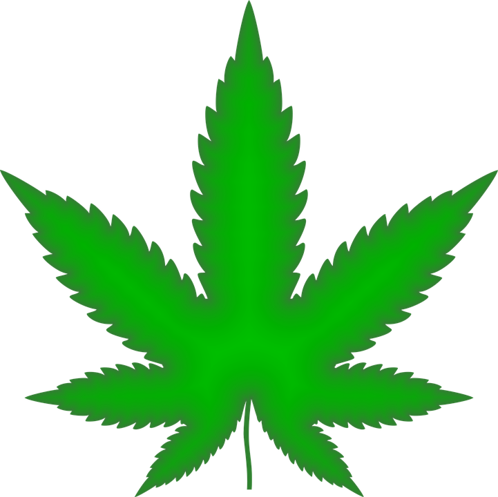 marijuana-2766343_960_720
