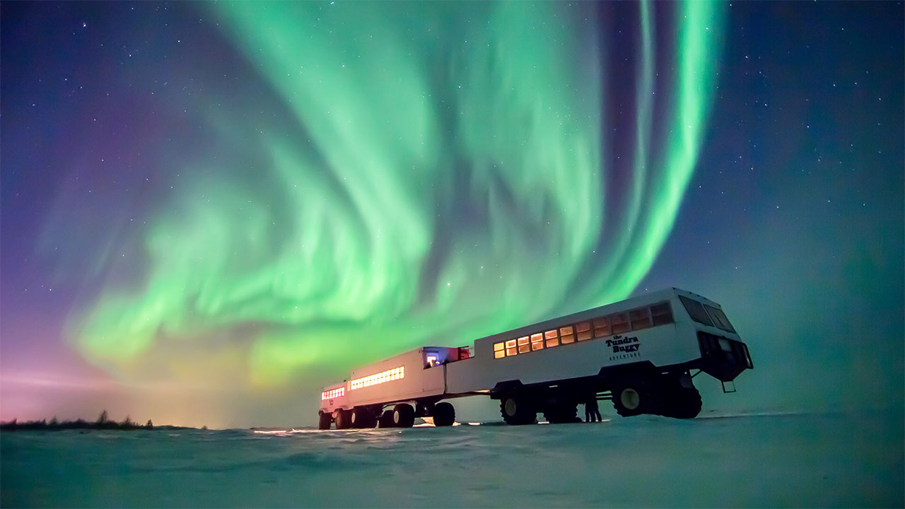 Northern Lights Alert See The Magical Green Lights Tonight - plvmuz1